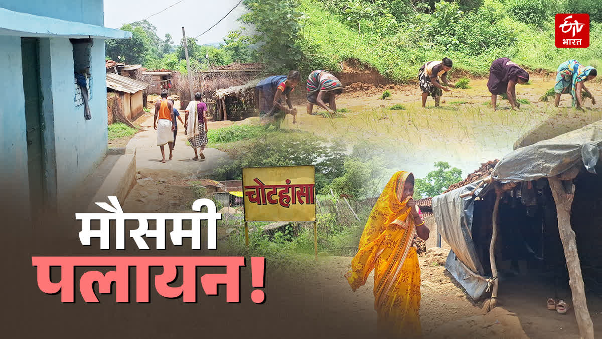 पलामू में धान रोपाई के मौसमी काम से जुड़ी ग्रामीण मजदूरी की खबर