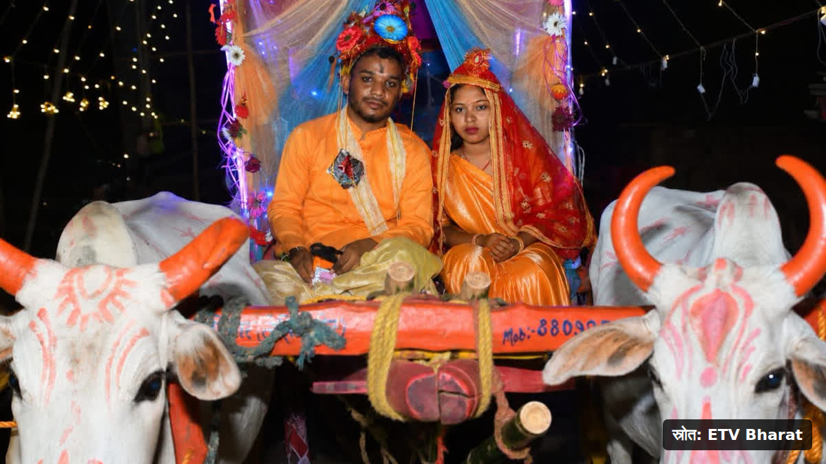बोकारो में बिना दहेज शादी के दौरान बैलगाड़ी से निकली बारात