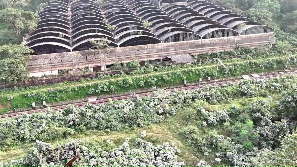 झारखंड हाईकोर्ट में BSIDCL मामले की सुनवाई से जुड़ी खबर
