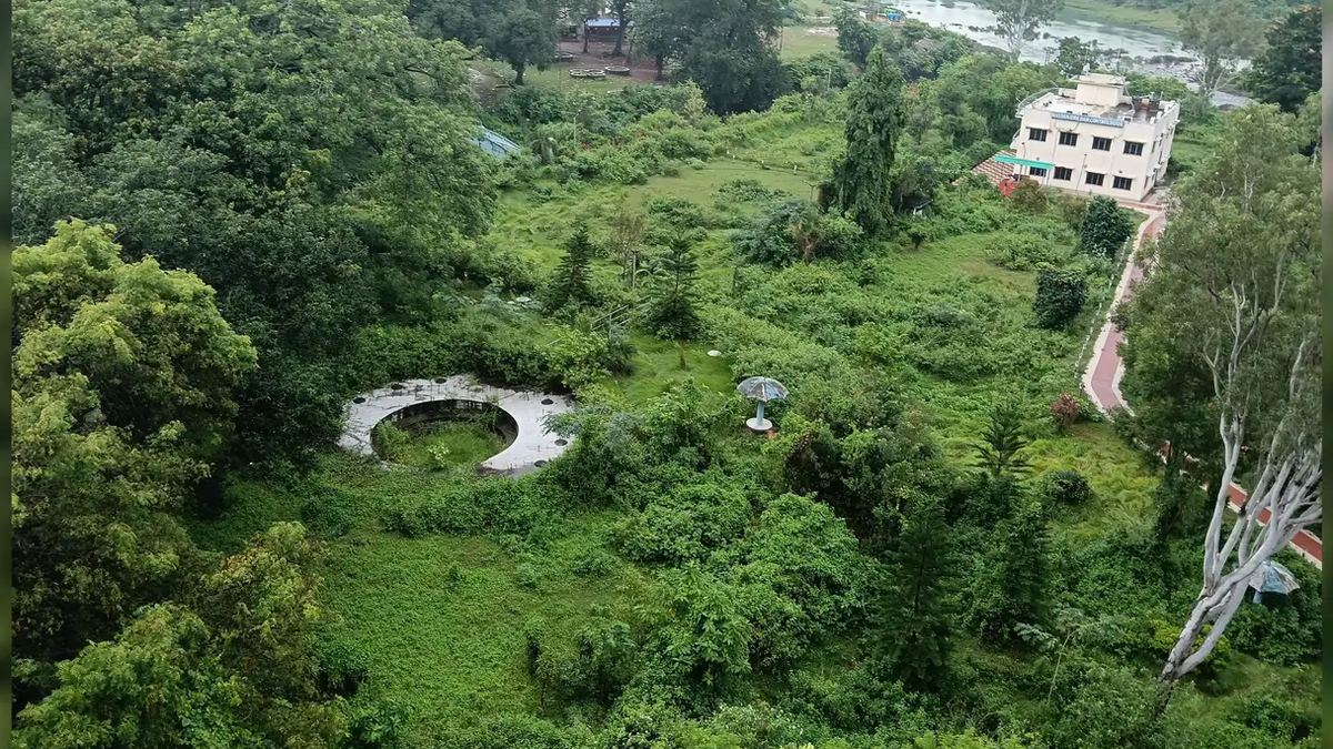 मसानजोर डैम के नीचे बंद फूल बगीचे के परिसर में उगी झाड़ियां
