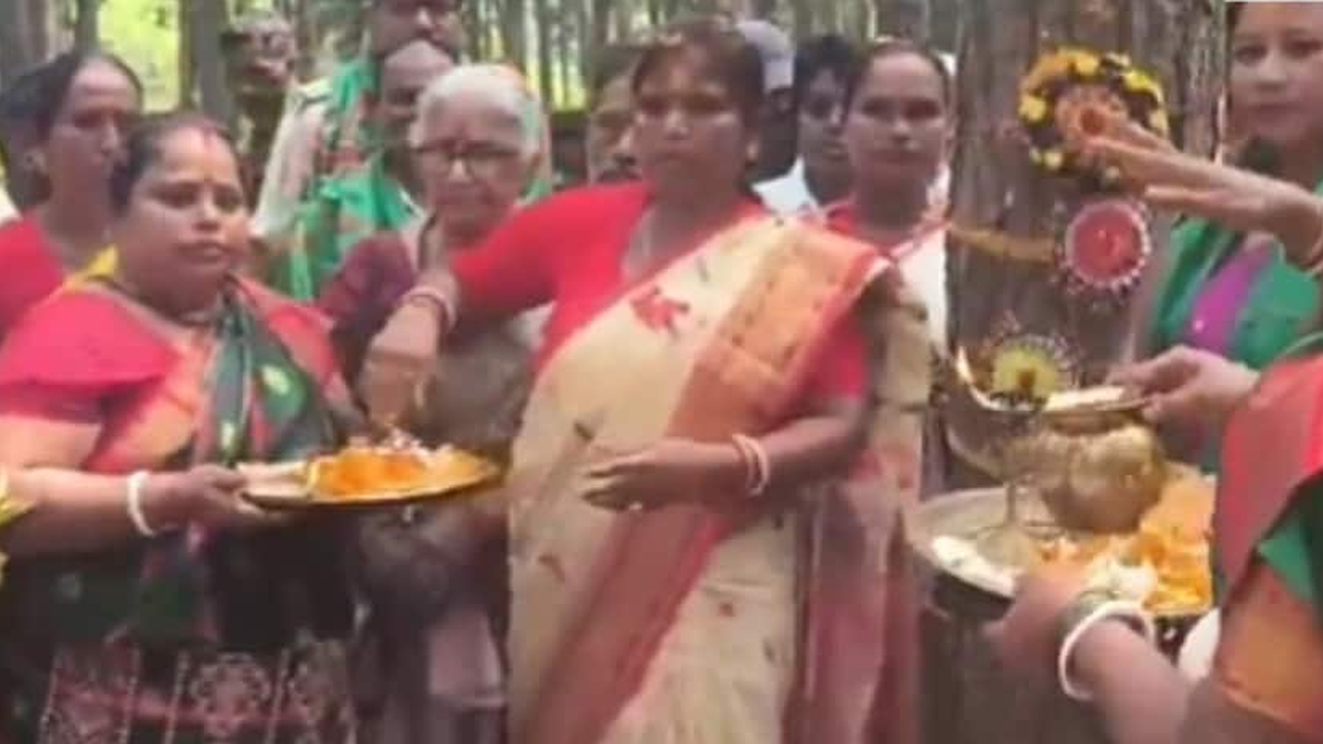 जमशेदपुर में रक्षाबंधन पर पेड़ों को राखी बांधती आदिवासी महिलाएं