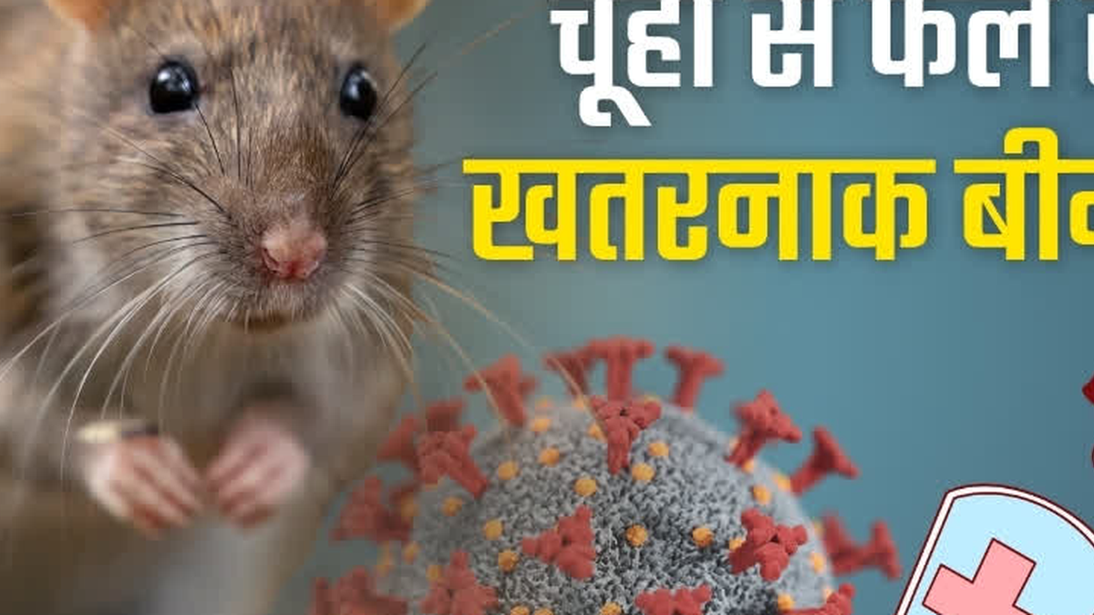 रांची में लेप्टोस्पायरोसिस संक्रमण से बचाव और उपचार के प्रति स्वास्थ्य सतर्कता