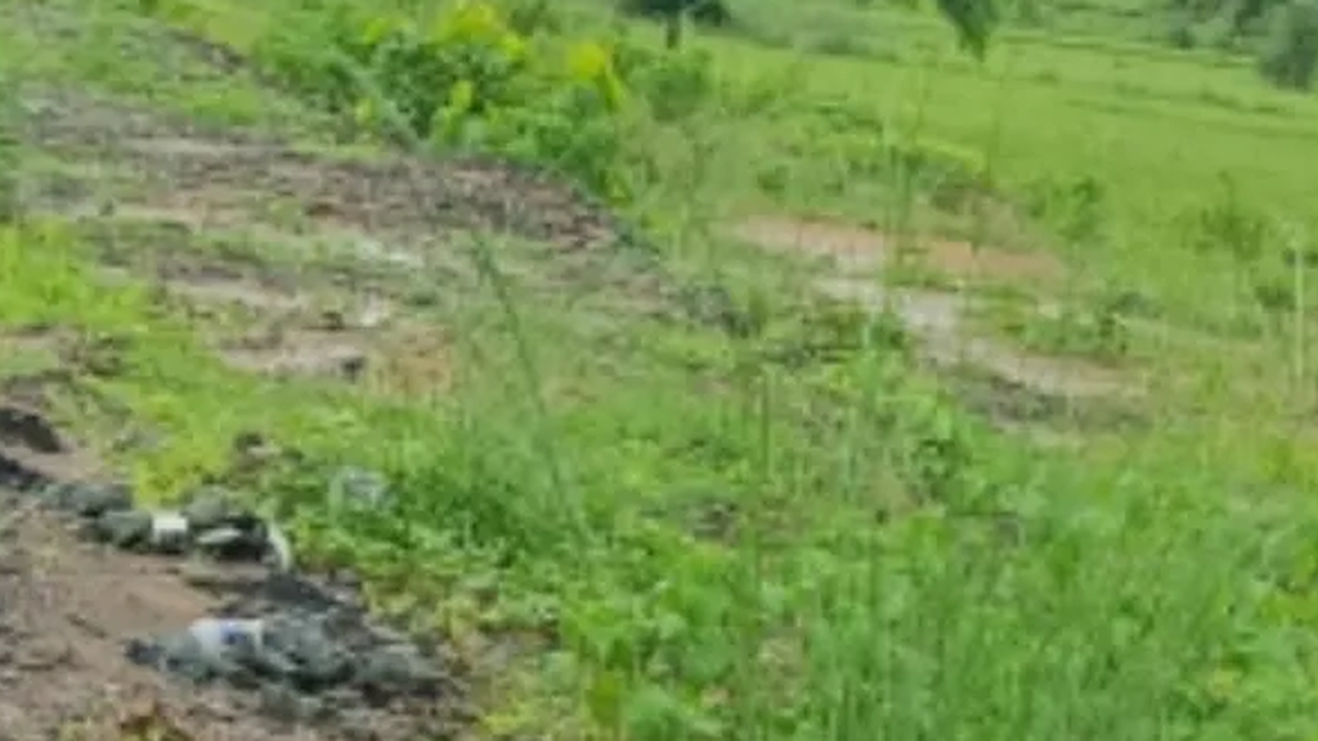 पलामू में NH-39 फोरलेन किनारे हरित पट्टी के लिए पौधारोपण का इंतजार