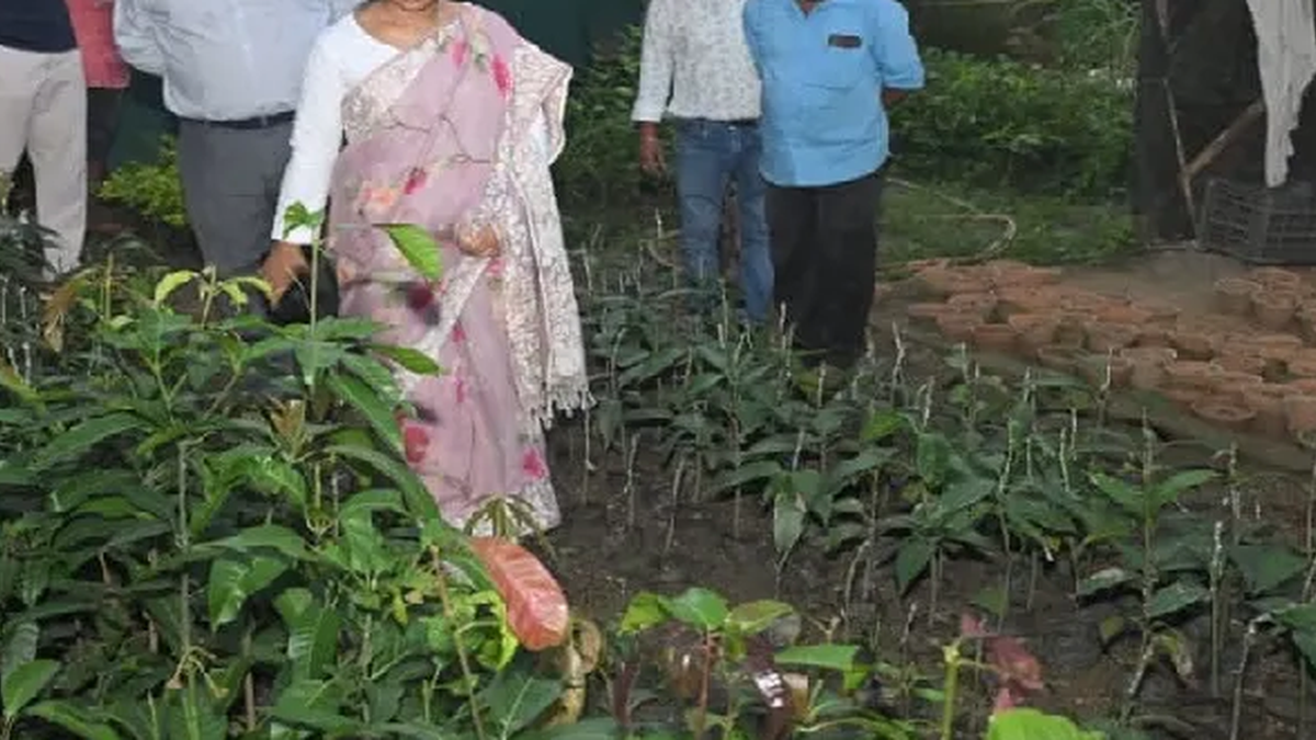 डेमोटांड केंद्र को एग्रो टूरिज्म हब बनाने की तैयारी