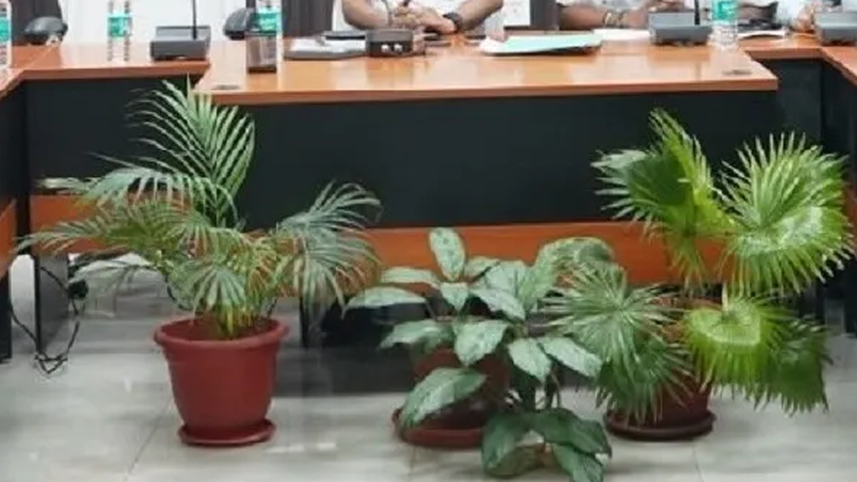 बहरागोड़ा से पोटका तक एमटीसी सेंटरों में बेड ऑक्यूपेंसी बढ़ाने से जुड़ी स्वास्थ्य खबर