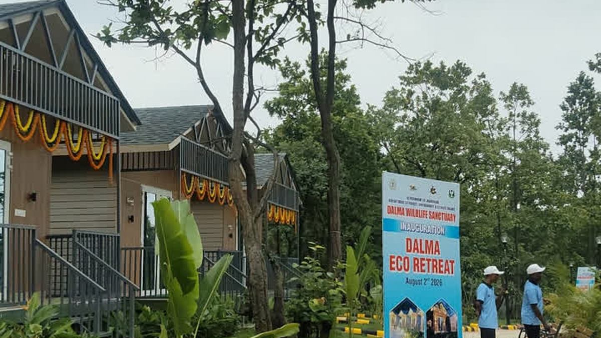 दलमा इको रिट्रीट में 15 इको-फ्रेंडली कॉटेज के उद्घाटन की खबर