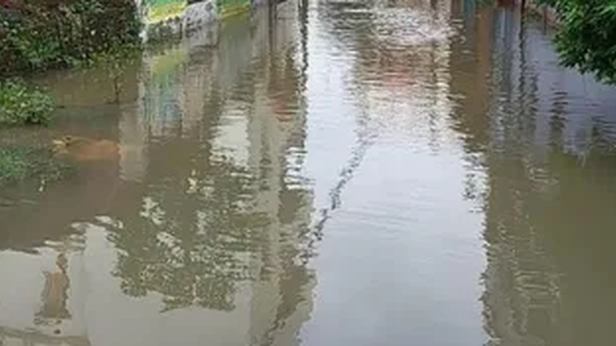 कोडरमा में भारी बारिश के बाद उफान पर नदी और जलभराव से प्रभावित क्षेत्र