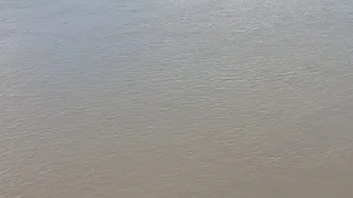 धनबाद के डुमरी क्षेत्र में बढ़े जलस्तर के साथ बहती दामोदर नदी