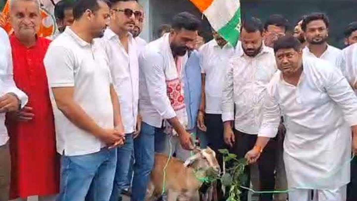 धनबाद के रणधीर वर्मा चौक पर बेरोजगारी के मुद्दे पर प्रदर्शन करते युवा कांग्रेस कार्यकर्ता