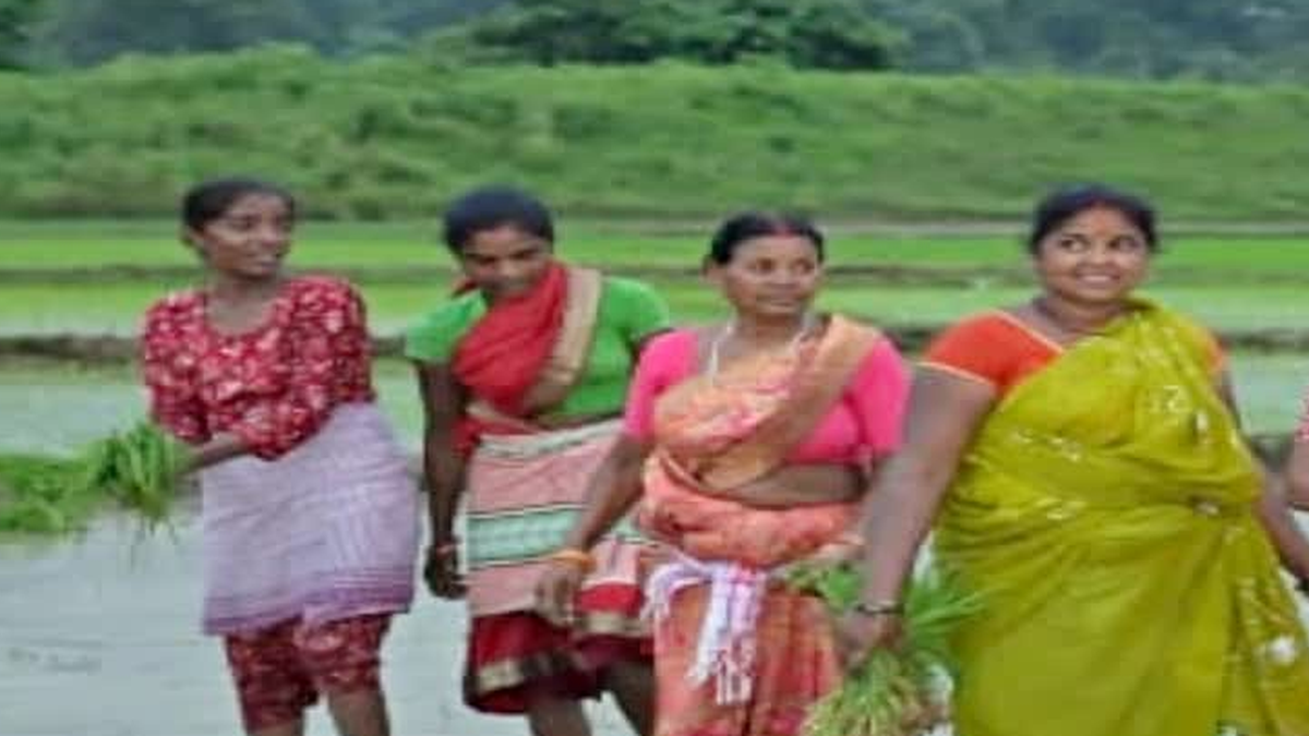 रांची में महिला किसान खुशहाली योजना पर प्रस्तावित कार्यशाला का प्रतिनिधि दृश्य