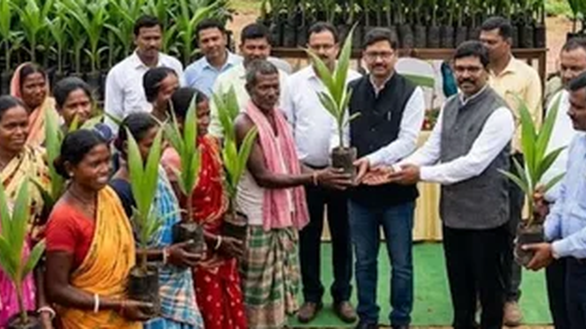 दुमका में नारियल खेती के पायलट प्रोजेक्ट के लिए तैयार कृषि भूमि और पौधे