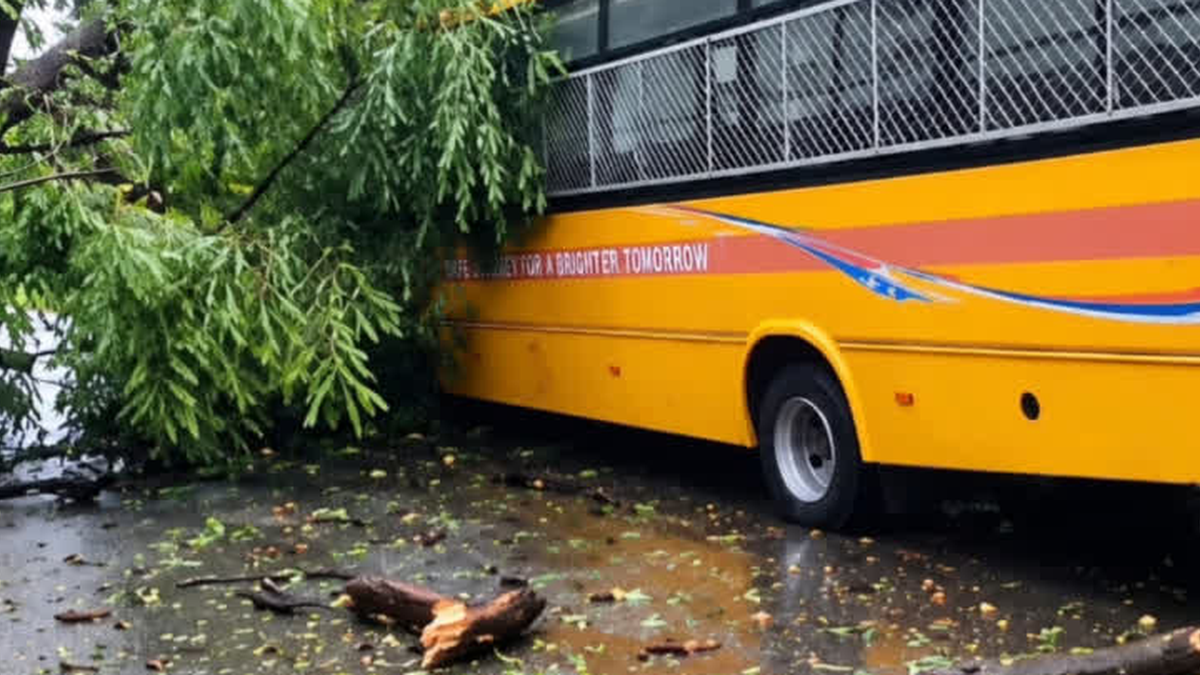 रांची के डोरंडा में स्कूल बस पर पेड़ गिरने के बाद मौके का दृश्य