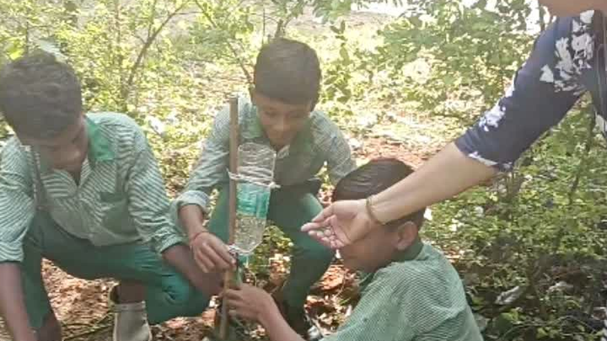 देवघर के स्कूल में पौधरोपण अभियान में भाग लेते शिक्षक और विद्यार्थी