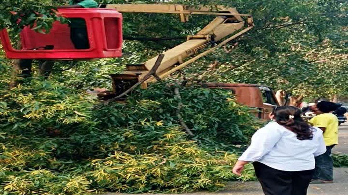 रांची में लटकते फाइबर केबल व्यवस्थित करने और पेड़ों की छंटाई का अभियान