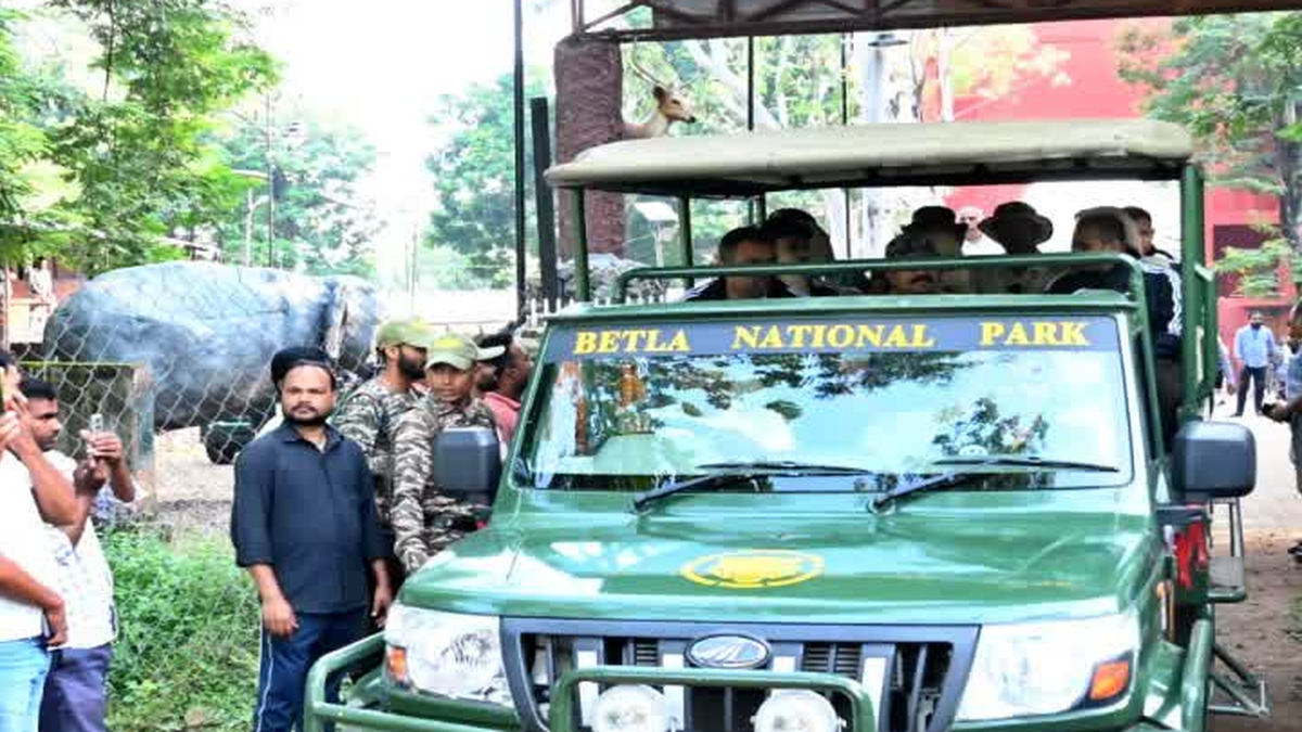 बेतला नेशनल पार्क में नए पर्यटन सत्र के दौरान शुरू हुई जंगल सफारी