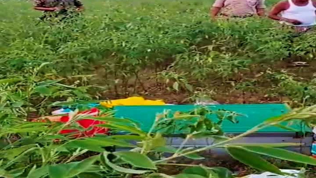 पलामू के उंटारी रोड स्थित सतबहिनी गांव में डकैती के मामले की जांच करती पुलिस