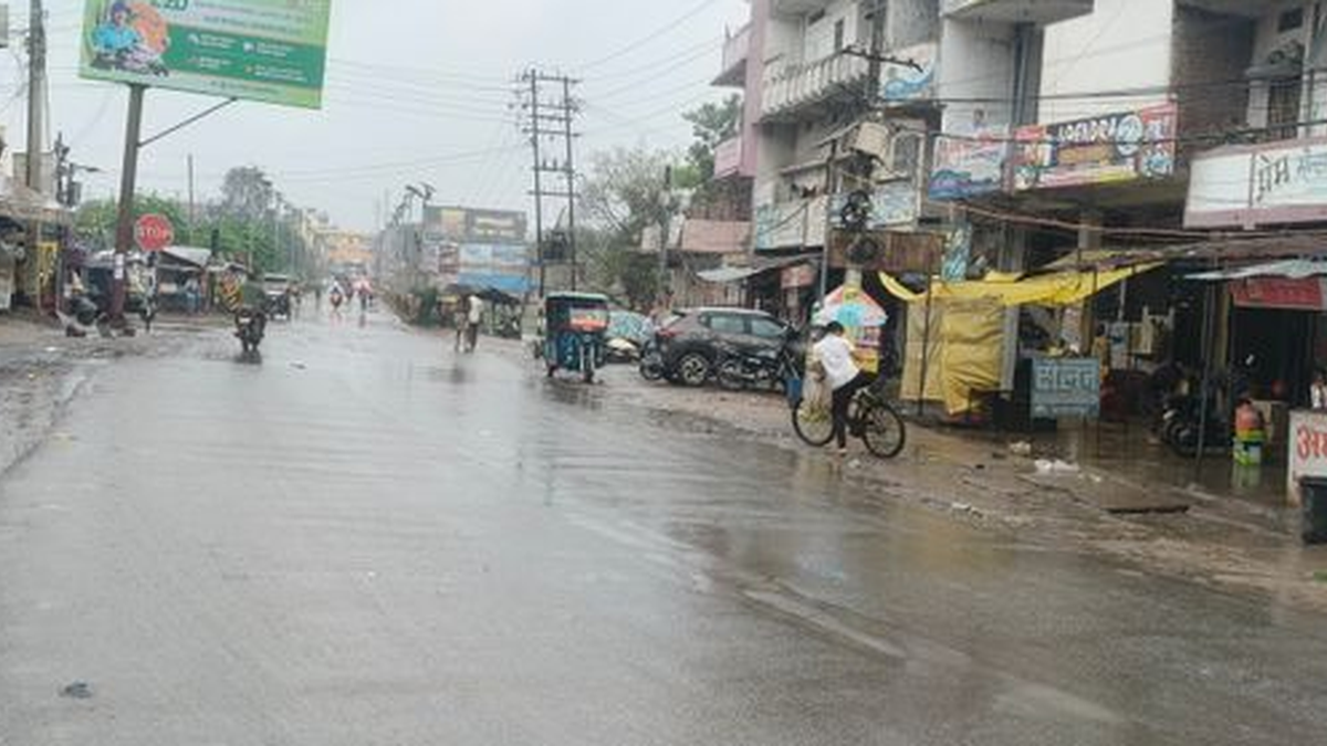 गढ़वा जिले में बारिश के बीच खेत में तैयार धान की फसल