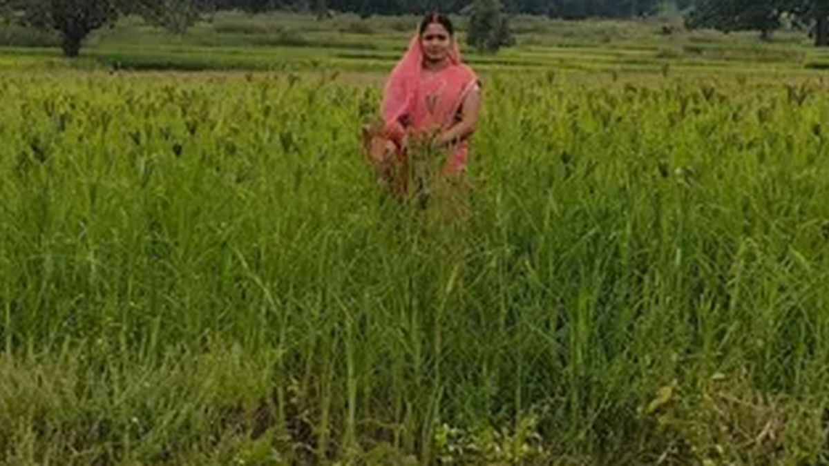 पलामू के मनातू में खेत में खड़ी मडुआ की फसल के साथ महिला किसान