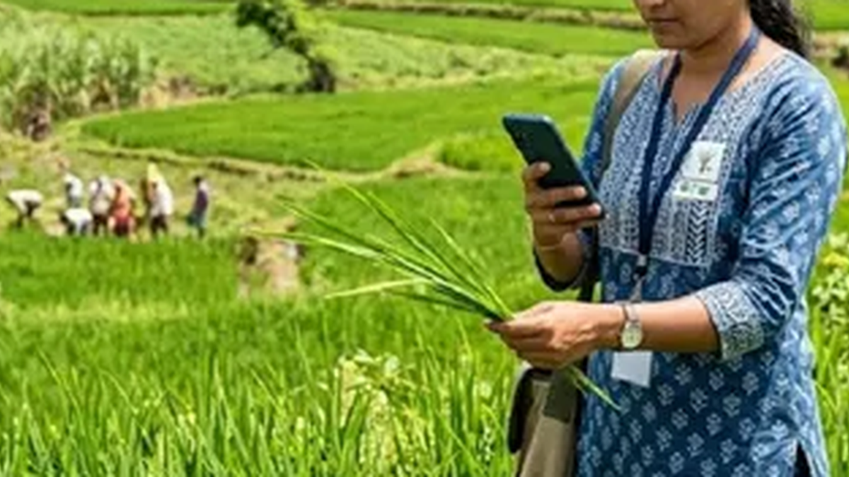 गुमला जिले में खेत और फसलों का डिजिटल रिकॉर्ड तैयार करता सर्वे कर्मी
