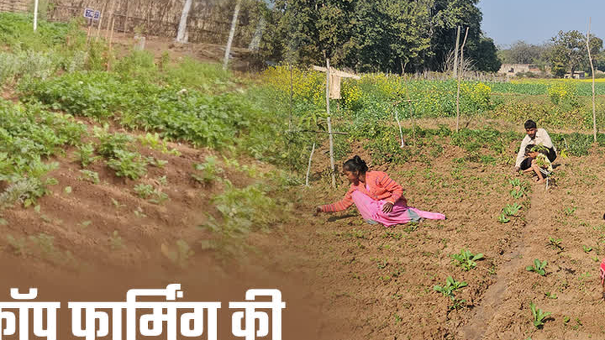 रांची में रबी खेती और बहुफसली कृषि को लेकर जानकारी देता कृषि विभाग